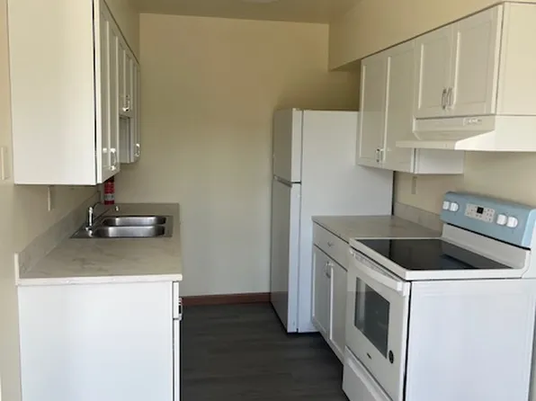 132 S 1st St APT 1W, Wilmington, IL 60481