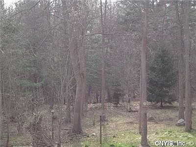2nd image of 59 Hawthorne Rd