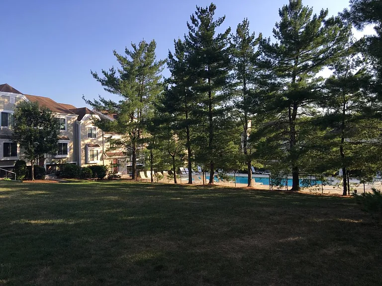 Condo lawn and upper pool