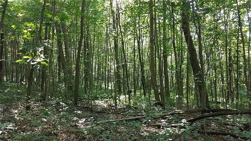 2nd image of Tract 4 Parcel 1 Tract A Walker Rd