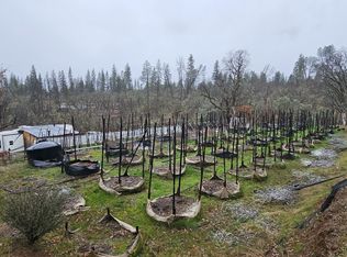 341 Buck Ln, Hayfork, CA 96041