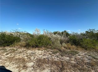 0 County Road 160 Ave, Orange Grove, TX 78372