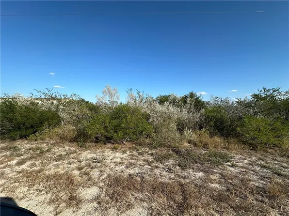 0 County Road 160 Ave, Orange Grove, TX 78372