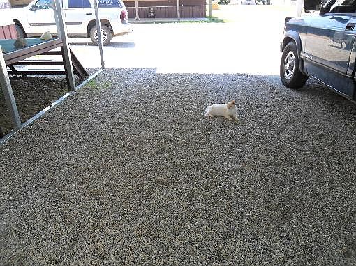 4th image of 8 Opal St