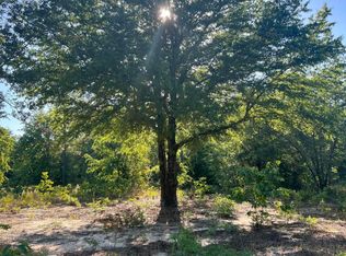 0 Pearl Bonnet Rd, Windsor, SC 29856