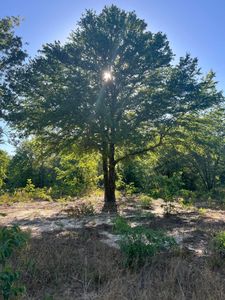 0 Pearl Bonnet Rd, Windsor, SC, 29856