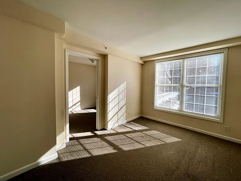 8 Parker St #4 — Photo 22