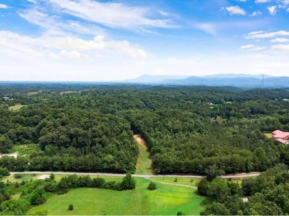 0 Hanes Rd #1, Oakman, GA 30732
