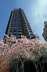 Rented by Halstead Real Estate