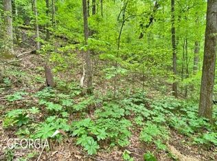 0 Old River Rd, Dahlonega, GA 30533