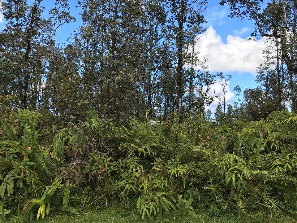 2nd image of Tangerine Dr Lot 13