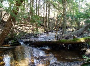 0 Perry Pond Rd, Narrowsburg, NY 12764