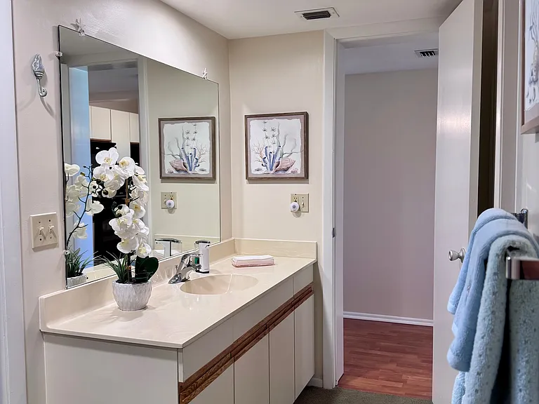 Lovely bathroom w/ walk-in shower!