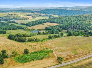 3 Waits Rd, Owego, NY 13827