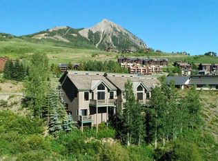 9 Castle Rd, Crested Butte, CO 81224