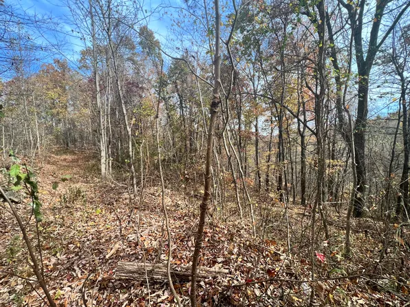 9999 Bar Creek Rd, Manchester, KY 40962