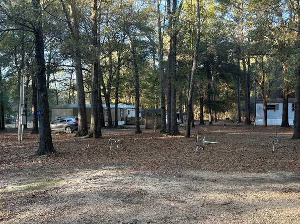 34 Hall Rd, Hawkinsville, GA 31036