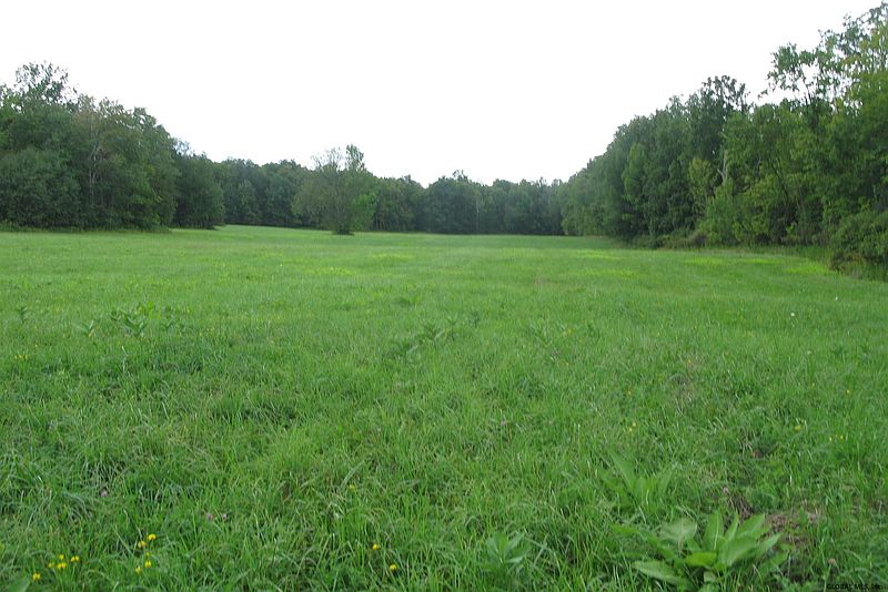 5th image of 0 CORBIN HILL Road