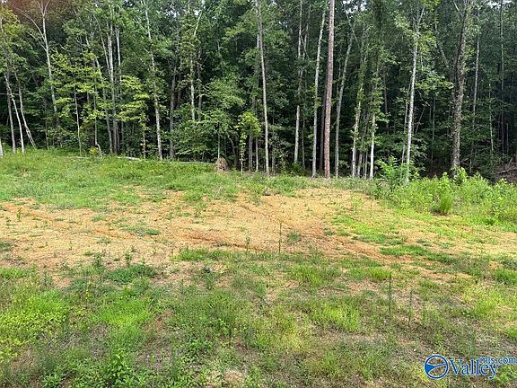 2nd image of LOT 10 County Road 114