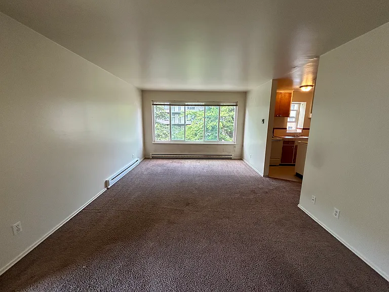 4119 11th Ave NE #3001 — Photo 9