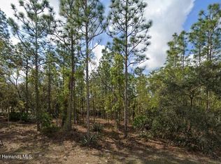 11464 Chickadee Rd, Weeki Wachee, FL 34614