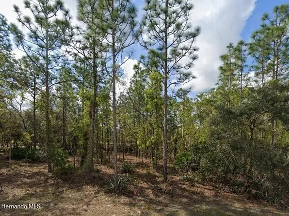 11464 Chickadee Rd, Weeki Wachee, FL 34614