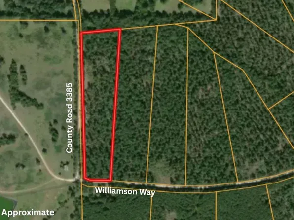 Williamson Way, Lovelady, TX 75851