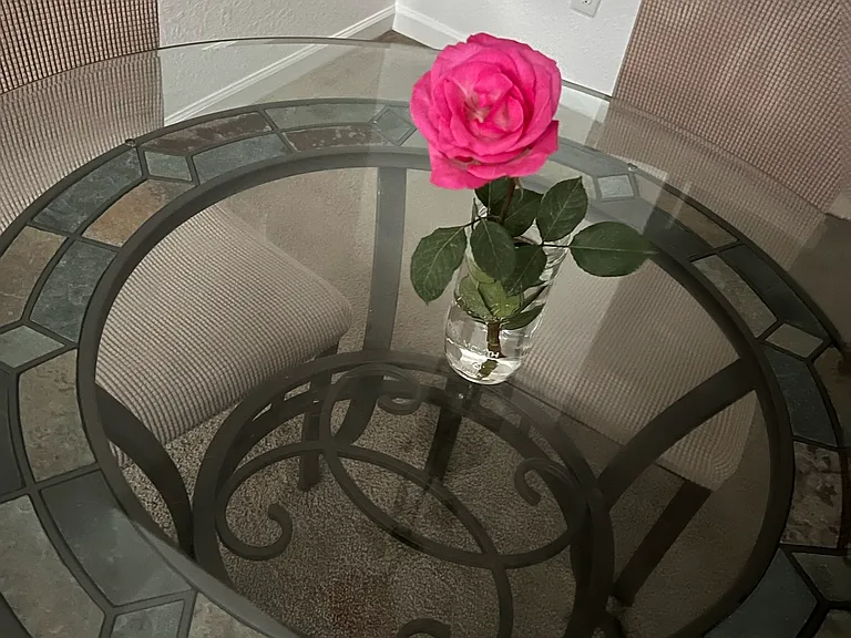 Shallcross Ave — Photo 8