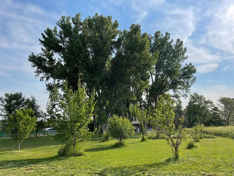 11198 Random Ct — Photo 16