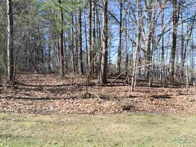 Vl W Birchview Dr, Sanford, MI, 48657