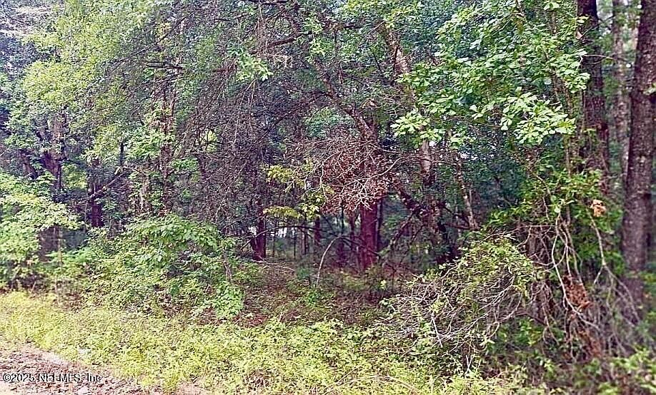 2nd image of LOT 13 EVANS Avenue