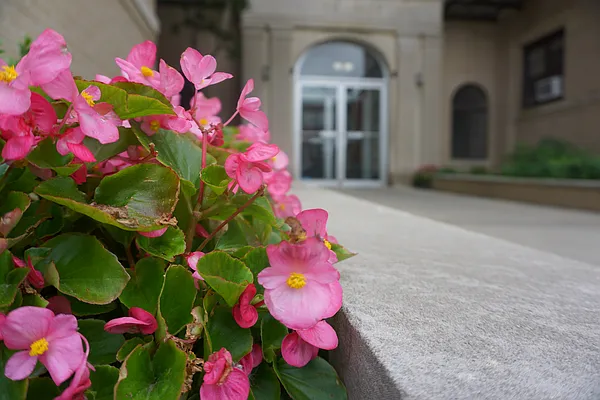 Rented by MQ Realty LLC | media 8