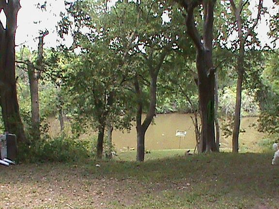 Tres Palacios River / backya