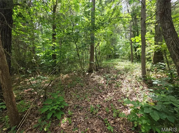 0 S Lakeshore Dr, Hillsboro, MO 63050