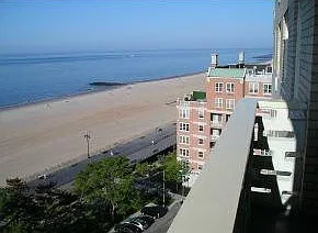 1 bed, 910 sqft, $2,500 — Photo 1