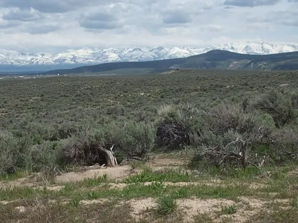 Maple Ave, Elko, NV 89801