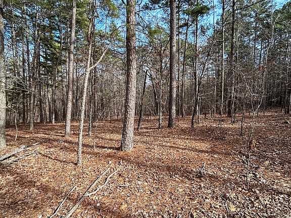 3rd image of 513 Timberline Road