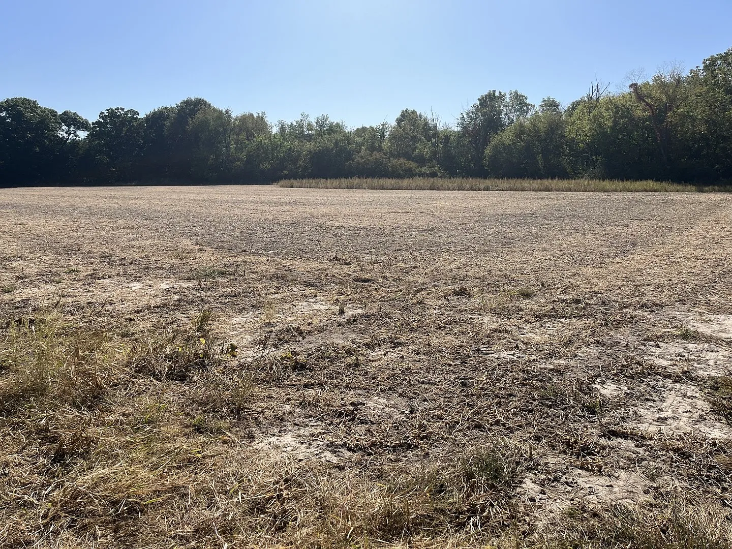 LOT 2 1365 North Ave photo 1