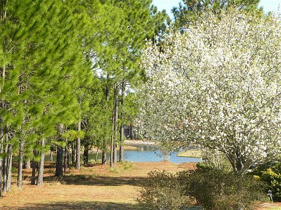 3rd image of 3705 Willow Lake Drive