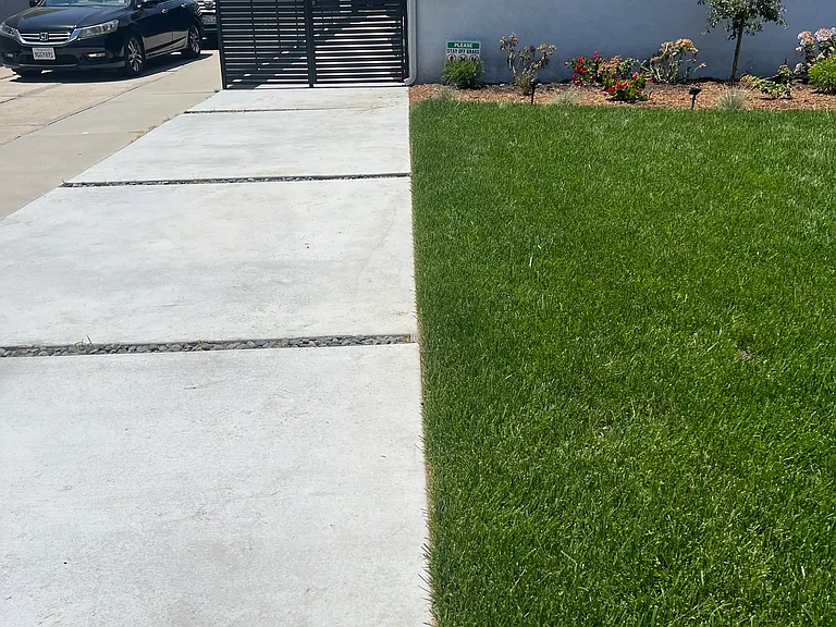 S Sycamore Ave — Photo 5