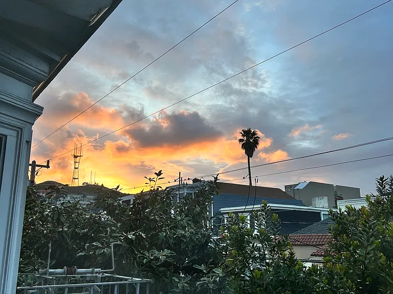 View from front windows