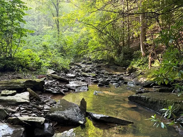 2 Sheep Ranch Rd, Robbins, TN 37852