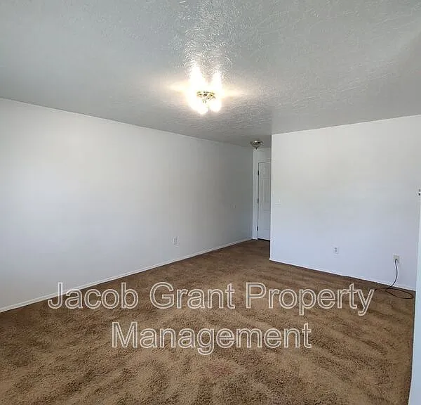 385 Golden St #4 — Photo 3