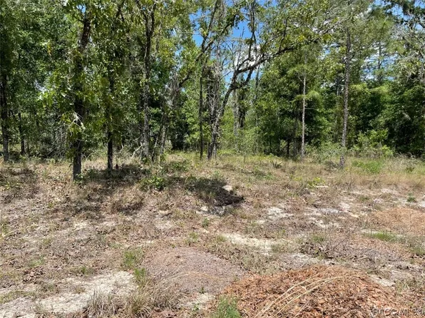 LOT 4 NE 12th St, Williston, FL 32696