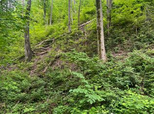 536 Deep Hollow Ct, Gatlinburg, TN 37738