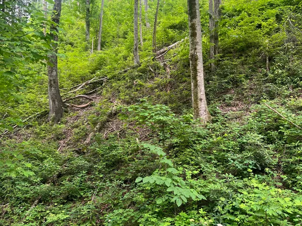 536 Deep Hollow Ct, Gatlinburg, TN 37738