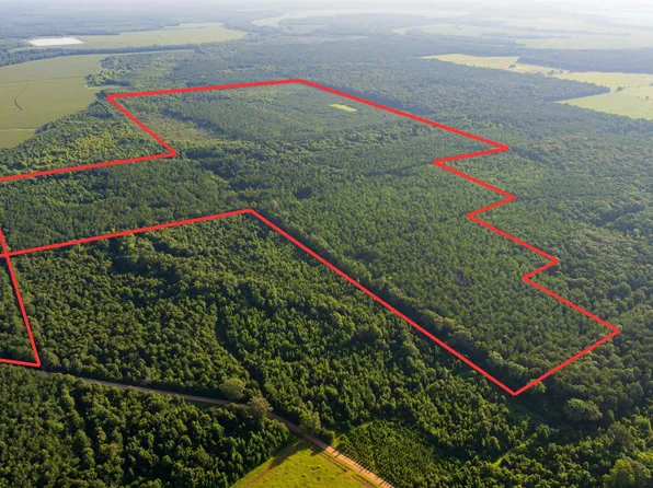 0 Carpenter Rd, Bastrop, LA 71220