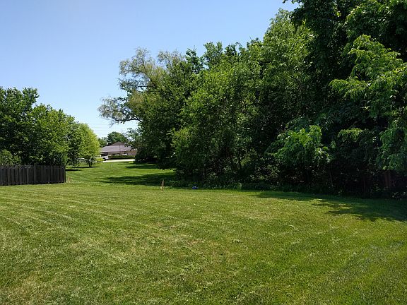 Wooded backyard