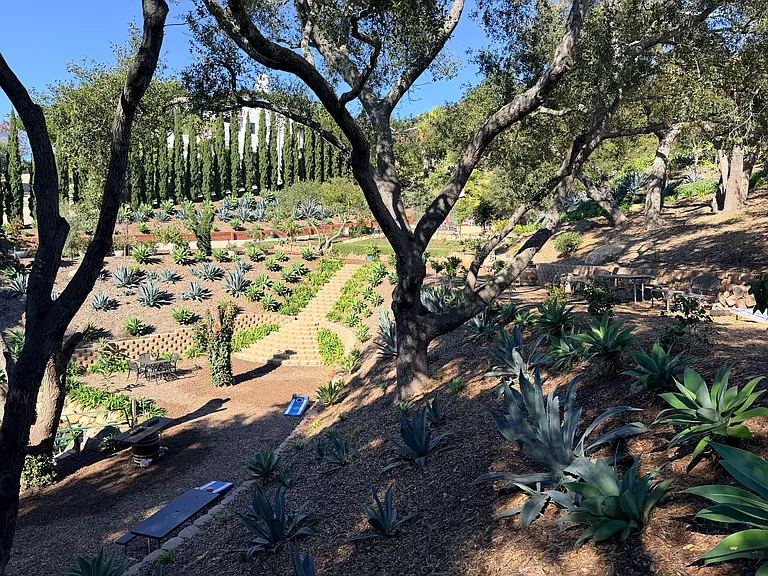 Coyote Rd — Photo 26