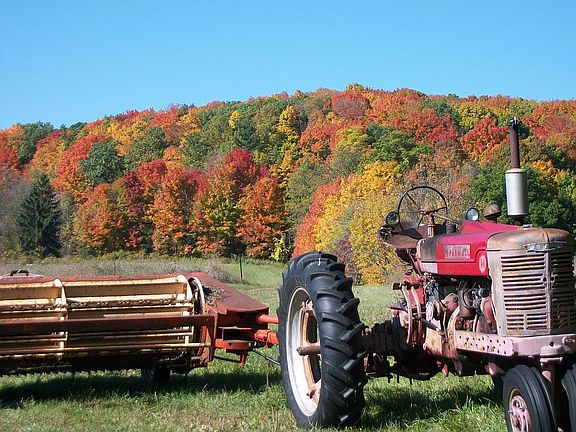 Looking west from Sumac Road